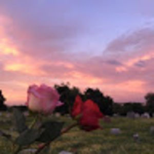 Meet your Posher, Jocelyn